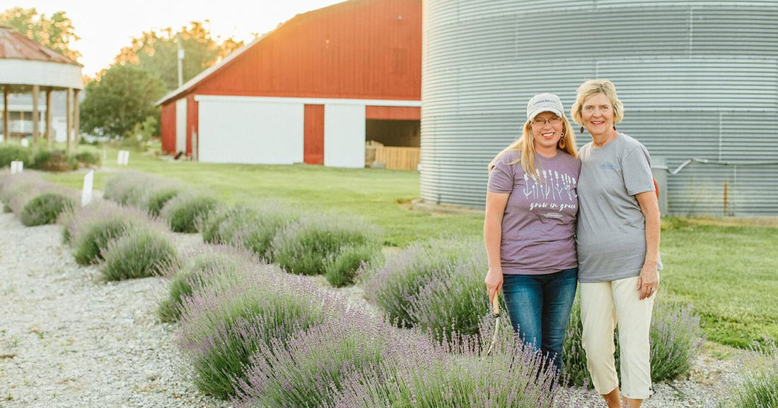 Our Lavender Farm