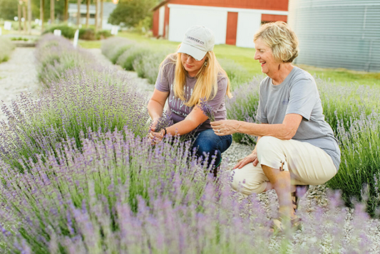 What We Wish We'd Known Before Starting a Lavender Farm