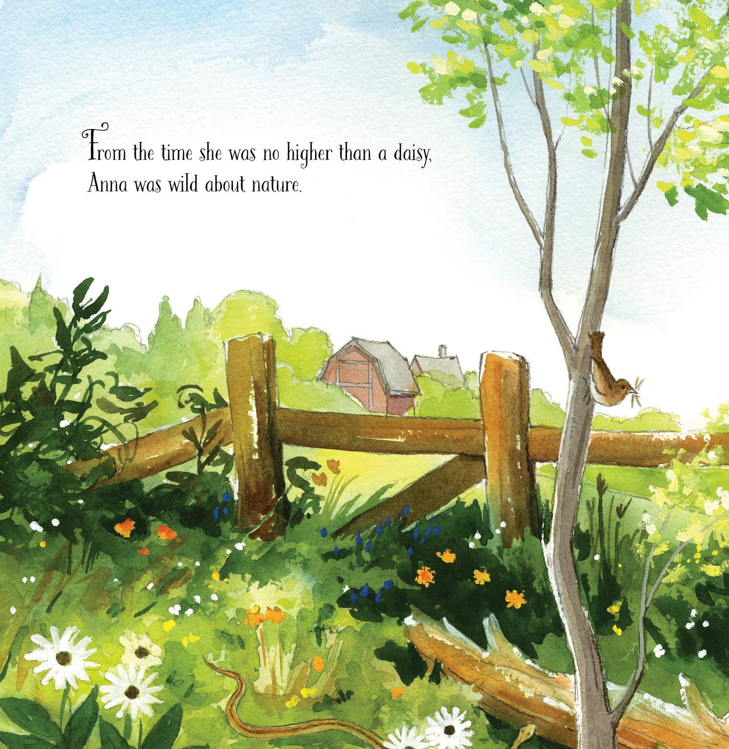 Out of School and Into Nature, a picture book