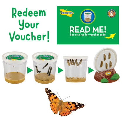 Original Butterfly Garden® Growing Kit with Voucher
