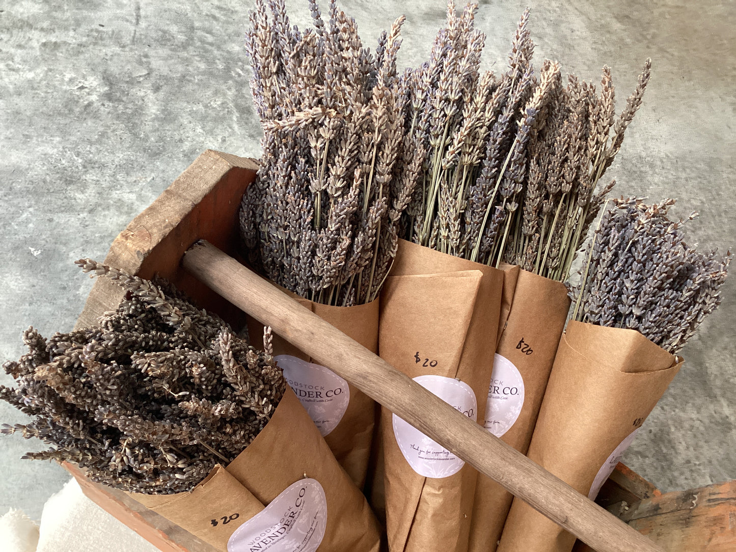 Dry lavender bundle