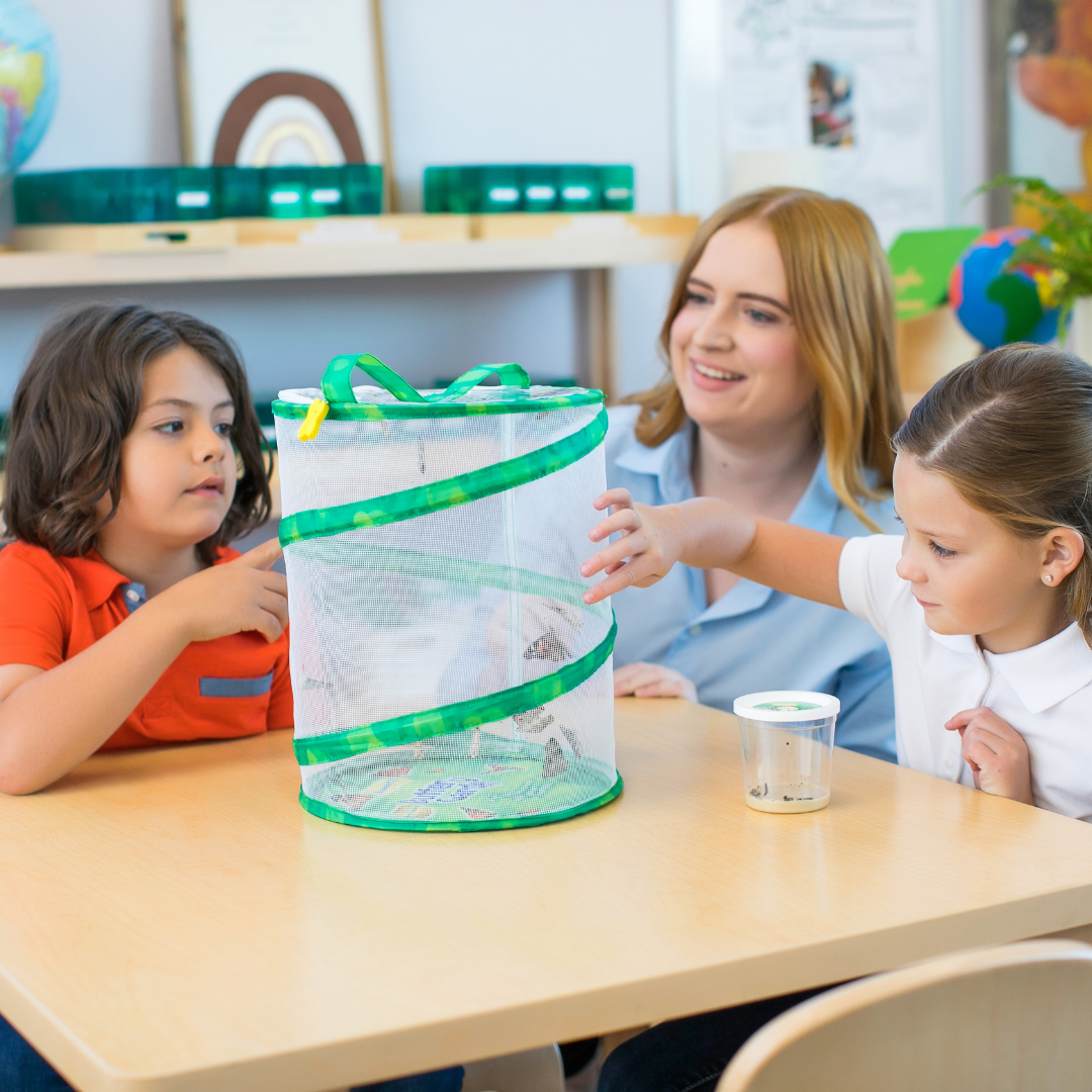 Original Butterfly Garden® Growing Kit with Voucher