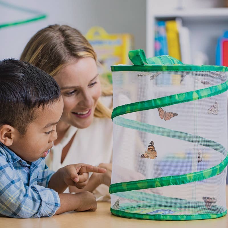 Original Butterfly Garden® Growing Kit with Voucher