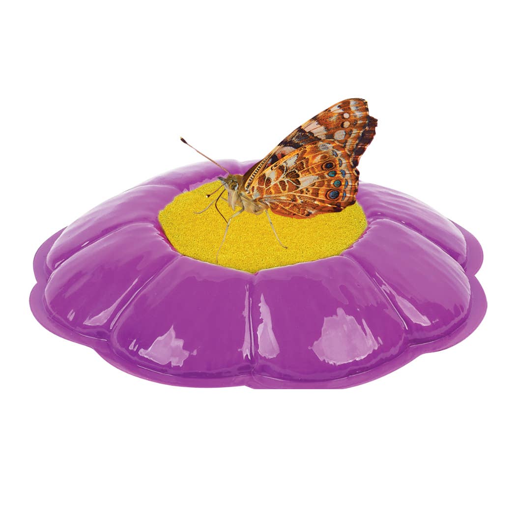 Original Butterfly Garden® Growing Kit with Voucher