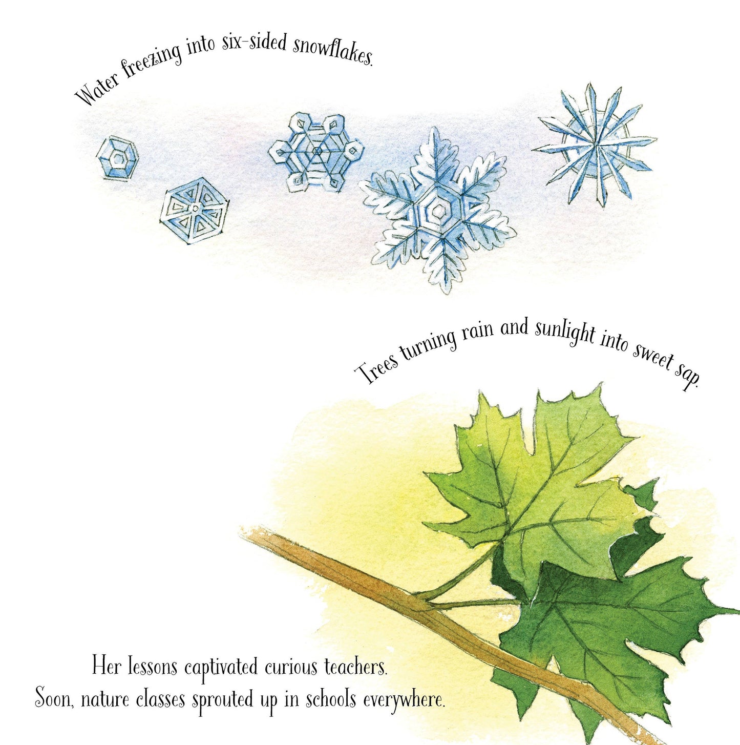 Out of School and Into Nature, a picture book