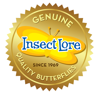 Original Butterfly Garden® Growing Kit with Voucher