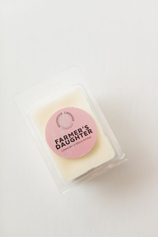 Wax Melt & Warmer Gift Set
