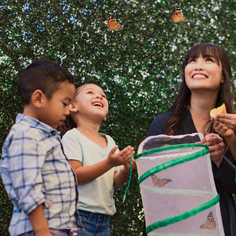 Original Butterfly Garden® Growing Kit with Voucher